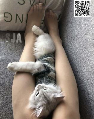 波多资源在线中文字幕_HD动漫免费观看