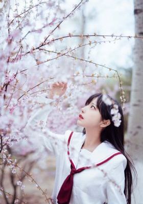 久草在线视频免费资源观看_BD韩语完整版观看